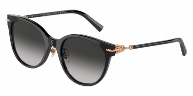 Óculos de Sol TIFFANY CO 4223D 8001/3C
