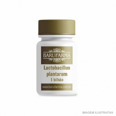 LACTOBACILLUS PLANTARUM 1 BI.