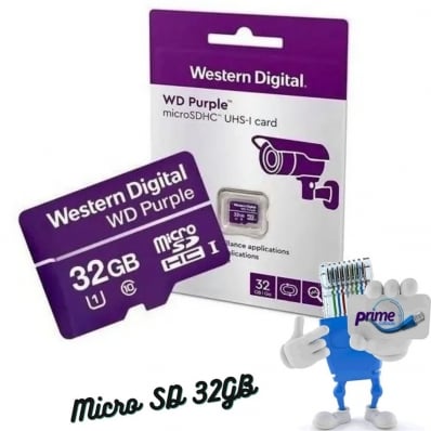 Cartão Micro SD 32GB WD Purple Western digital Intelbras