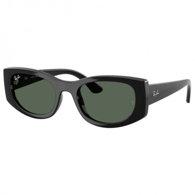 Óculos de Sol RAY BAN 4446L 667771