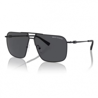 Óculos de Sol ARMANI EXCHANGE 2054S 6000/87