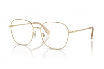 Armação SWAROVSKI 1009D 4013