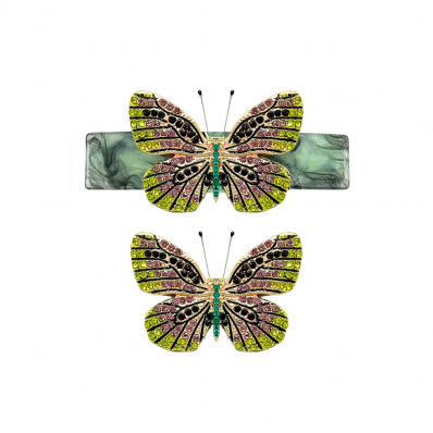 Kit Presilha + Broche Borboleta