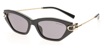 Óculos de Sol TIFFANY & CO 4231U 8001/81