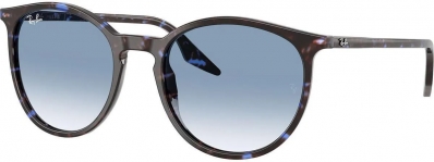 Óculos de Sol RAY BAN 2204 14303F