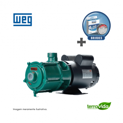 Bomba THEBE / WEG Monofásica P-11/4 NORYL 3,0 CV 127/220V