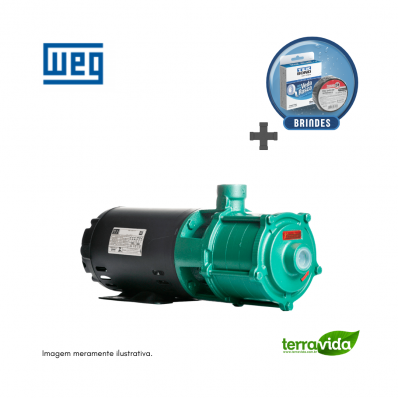 Bomba THEBE / WEG Trifásica P-11/4 NORYL 3,0 CV 220/380V