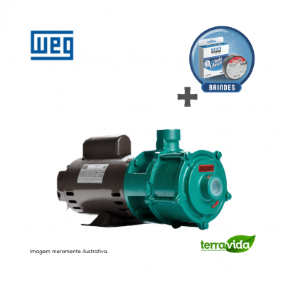 Bomba THEBE / WEG Monofásica P-11/3 NORYL 1,5 CV 127/220V