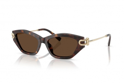 Óculos de Sol TIFFANY & CO 4231U 80153G