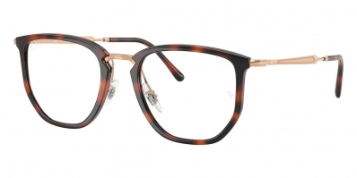 Armação RAY BAN 4451V 5687