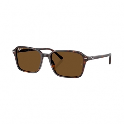 Óculos de Sol RAY BAN 2231 902/57