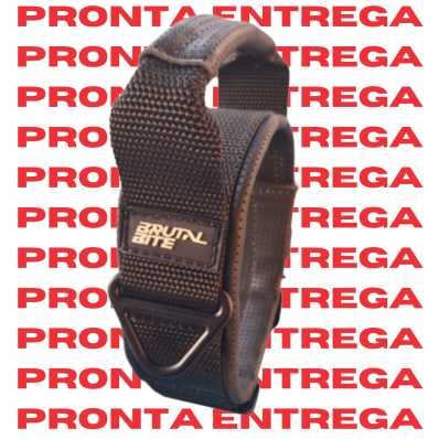 COLEIRA GUARDIAN PRO PRONTA ENTREGA