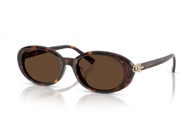 Óculos de Sol TIFFANY & CO 4242D 80153G