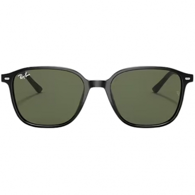 Ray-Ban Leonard RB2193 901/31