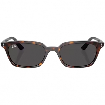 Ray-ban Zaya Bio-Based RB4456 1359/87