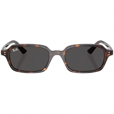 Ray-ban Zuri Bio-Based RB4455 1359/87
