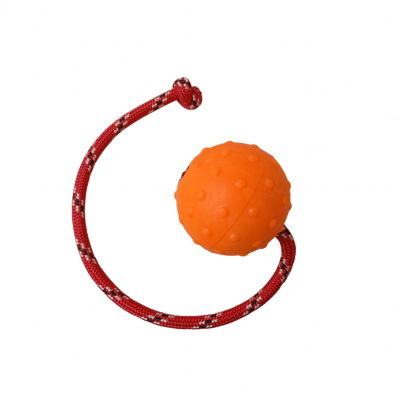 BOLA BORRACHA MACIÇA 6 CM DIÂMETRO (COM CORDA) 