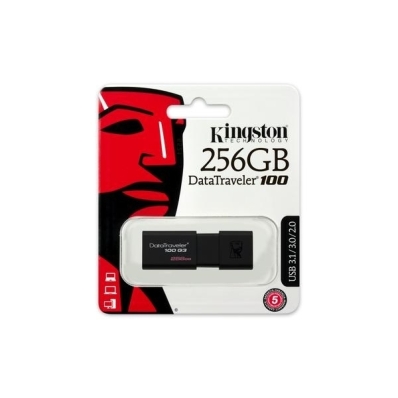 Pen Drive 256GB Kingston DT100G3/256GB