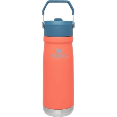 Garrafa Termica com Bico Stanley Classic The Iceflow 10-09992-057 (650ML) Guava