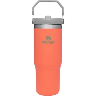 Caneca Térmica com Bico Stanley Classic The Iceflow 10-09993-046 (887ML) Guava