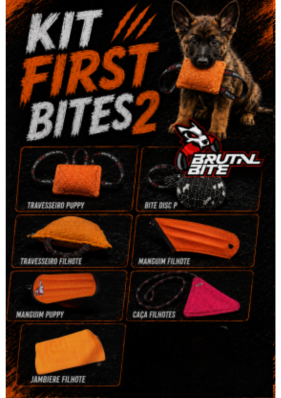 KIT FIRST BITES 2