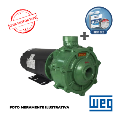 Bomba THEBE / WEG Trif&aacute;sica P-15/2 AL 3,0 CV 220/380V