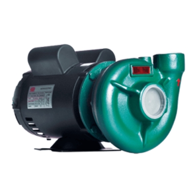 BOMBA THEBE MONOFASICO THB-13 3CV 220/380 VOLTS