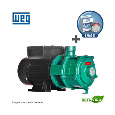 BOMBA THEBE / WEG P-11/2 NORYL 1,5 CV MONOFASICO