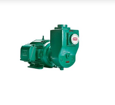 BOMBA EBARA AE-3 MONOFASICA ROTOR ABERTO 7,5 CV