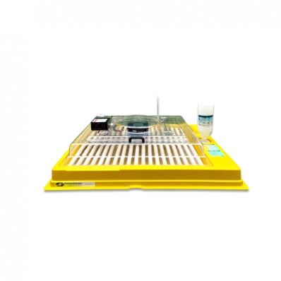 CHOCADEIRA PREMIUM ECOLOGICA HOBBY 48 OVOS 127V