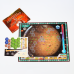 TERRAFORMING MARS: AMAZONIS & VASTITAS