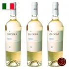 Vinho Branco Italiano Caldora Trebbiano DAbruzzo Doc (750ml)